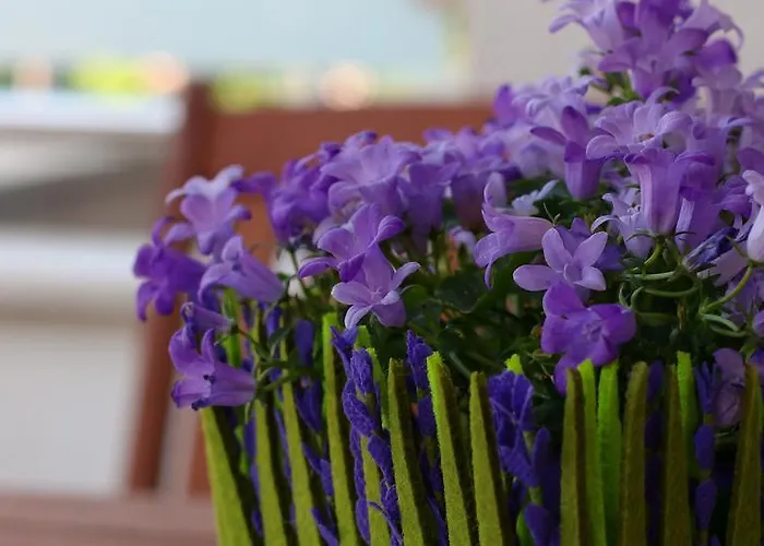 Apartment Jadranka Loviste